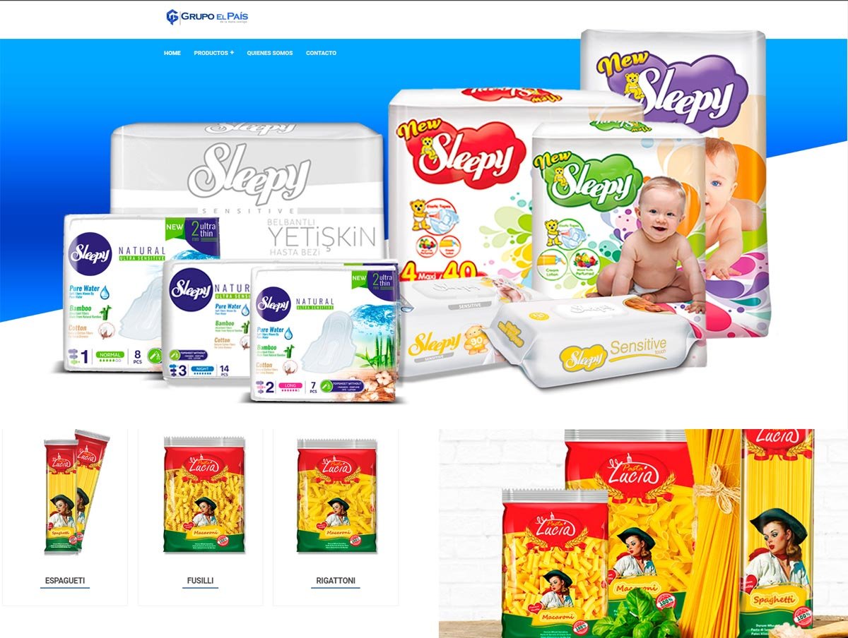 Diseño de Páginas web en Miami, Florida - Agencia web en Miami, Florida